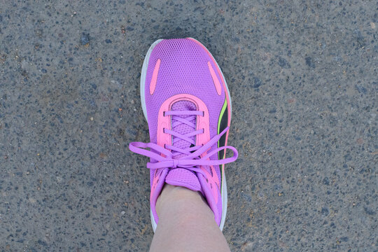 Top view of a purple running shoe on asphalt road