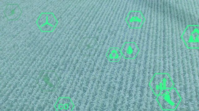 Overlay appearing, green hex icons drifting and pulsing over aerial crop field tracking data