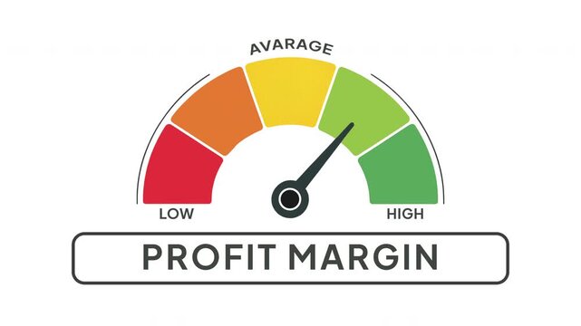 Profit Margin Level Gauge Meter Animation Low to High Progress Indicator