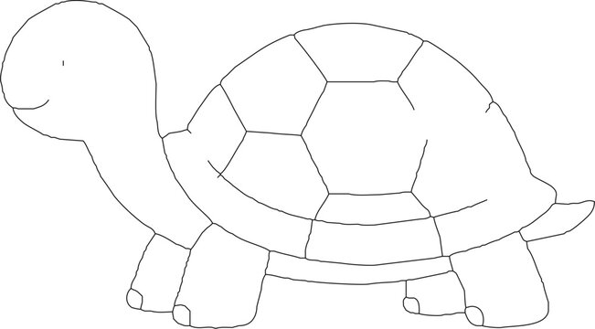 turtle vector illustration