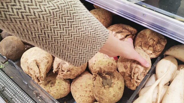 Woman Selecting Fresh Celeriac Root At Supermarket Produce Section. 