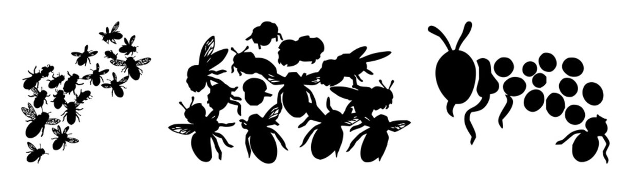 Swarm intelligence bee cluster set with solid black icon design featuring social behavior, insect, teamwork with cooperation and organization