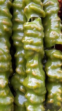 Vertical video close up. Georgian dish red, yellow, green, brown churchkhela hanging on rope on city holiday Tbilisoba, harvest fair, New Year market, Christmas festival, pastry shop. Sweet sugar food