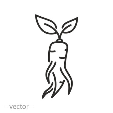 ginseng icon, outline editable illustration, ginseng plant sign