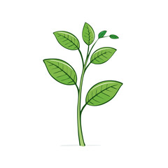 Fototapeta premium Green seedling with leaves reaching upwards symbolizing growth and new beginnings