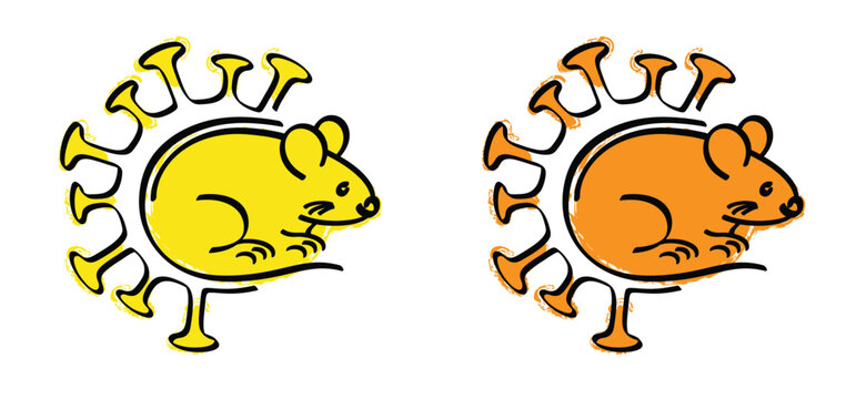 Hantavirus infections or hanta virus. Hantavirus, official name orthohantaviruses, are transmitted to humans through the urine, feces, and saliva of rats and mice. Hantaviruses. HPS symptoms.