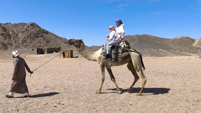 A tourist father and son, a man and a child in an Arafat hat, ride a camel under the supervision of a guide during an excursion, desert safari during vacations, holidays and weekends