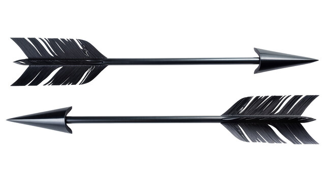 Sleek black arrow pair with feathered fletching and sharp metal tips