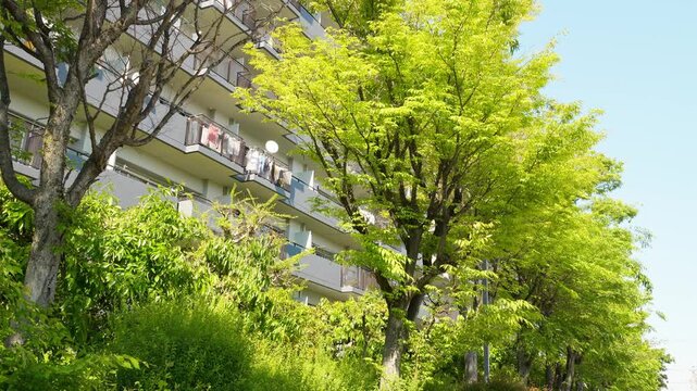 マンションの敷地に広がる美しい新緑。風に揺れる木々と豊かな居住環境