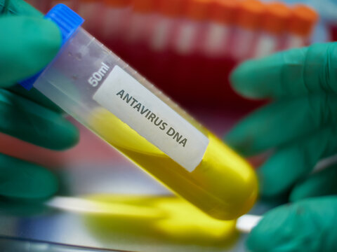 An epidemiologist holds a vial containing a sample for antiviral virus analysis in a laboratory