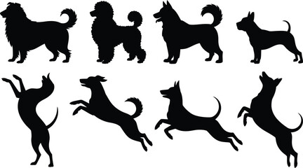 Vector silhouettes of various dog breeds in standing and active jumping poses isolated on white background for pet themed graphic design. © Sumaiya