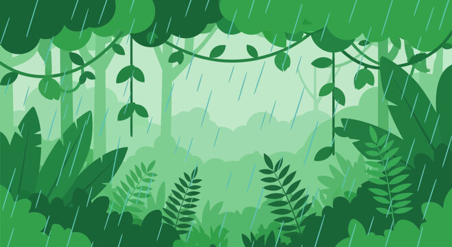 Green leaves in the rain forest.