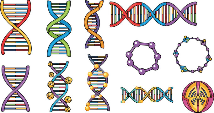 Set of Colorful DNA and Genetic Icons Including Helix, Chromosomes, Molecule, and Gene Structure for Biotechnology and Genetic Research Apps