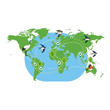 Global Migration Routes: Birds Flying Around World Map with Nature Icons