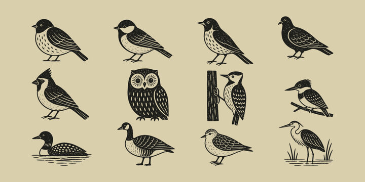 Vintage hand drawn bird collection including owl cardinal woodpecker and heron in black ink