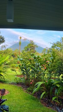 Scenic Arenal volcano view over lush tropical resort garden. Landscape view of an active volcano cone behind dense tropical greenery and manicured lawn in La Fortuna.