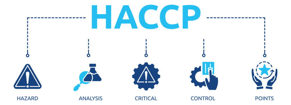 haccp glyph banner icon of hazard, analysis, critical, control, points