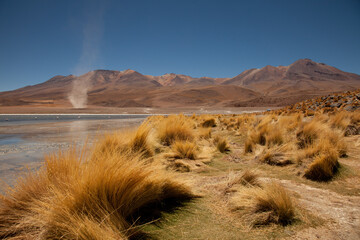 Windhose an einer Lagune in Bolivien (Altiplano) © chris74