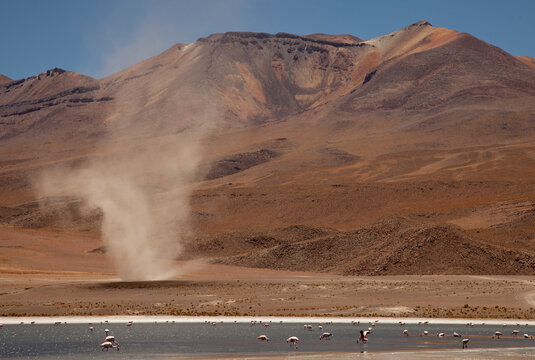 Windhose an einer Lagune in Bolivien (Altiplano)