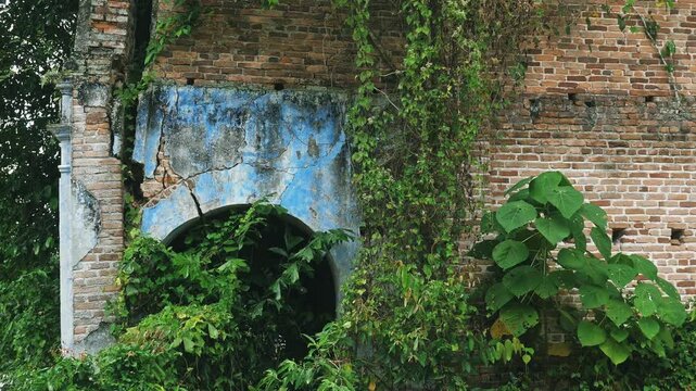 Abandoned brick building ruins in Papan Heritage Village, Perak, Malaysia. Overgrown tropical vegetation and green vines covering old blue painted walls and archway, historical site decay.