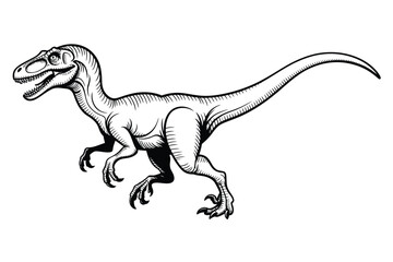 A detailed black and white illustration of a velociraptor dinosaur © Md