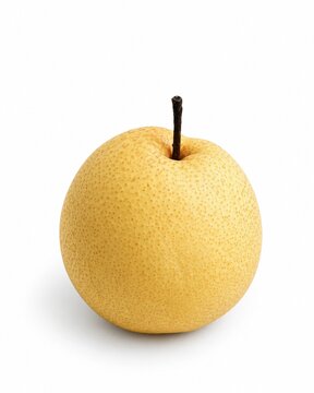 Asian-Pear-Isolated (4000 x 5000 px) - 1