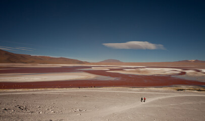 Rote Lagune in den Anden (Laguna Colorada, Bolivien) © chris74