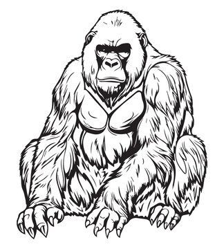 Gorilla Realistic Animal Hand Drawn Illustration Vector Arts
