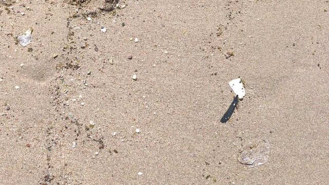 A heavily polluted beach, strewn with plastic waste and debris, highlights environmental damage and the urgent need for ocean cleanup. Reducing waste and plastic consumption. The problem
