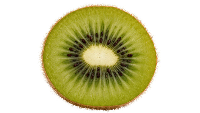 Round kiwi slice with fuzzy brown skin and vibrant green flesh, isolated on transparent background