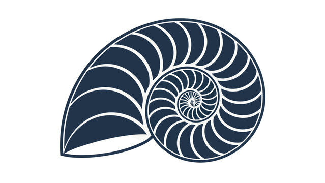 Dark blue nautilus shell spiral illustration