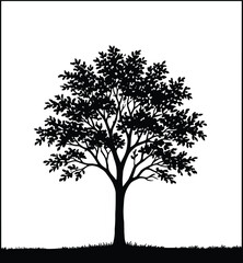 Fototapeta premium Detailed black tree silhouette with lush leaves and grass ground isolated on white background for nature forest landscape design.