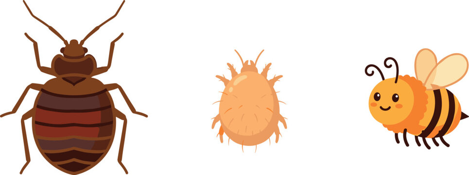 Vector Illustration of Bed Bug, Mite, and Bee with Cute Faces for Insect, Pest Control, and Nature Designs