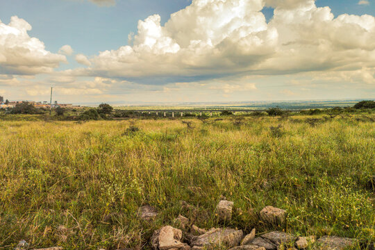 Panoramic View of the Nairobi National Park Savannah with the Standard Gauge Railway (SGR) Bridge and Dramatic Clouds, Nairobi, Kenya 