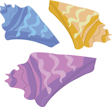 Colorful Sea shells vector set, Three Nautical Shell Illustration in pink, blue and gold