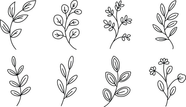 Hand drawn ink pen vector line art plant leaf set