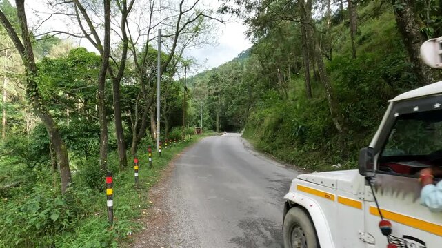 Peaceful winding road passing through lush green forest in a hilly Himalayan region, surrounded by tall trees and natural landscape, ideal for travel and nature concepts.