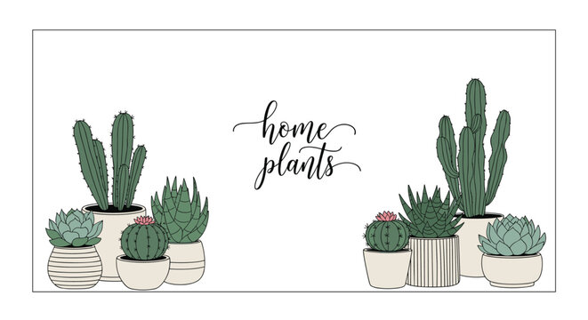 Charming banner of various home plants in pots including cacti and succulents with hand-written home plants text.