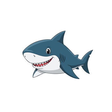 Cartoon illustration of a friendly smiling shark swimming.