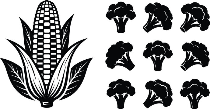 Corn and broccoli vegetable icons set in black silhouette style for organic food agriculture and healthy eating design