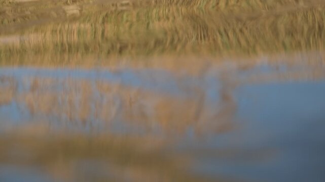Abstract wind ripples on puddle with blurred grass reflection, silent natural background footage