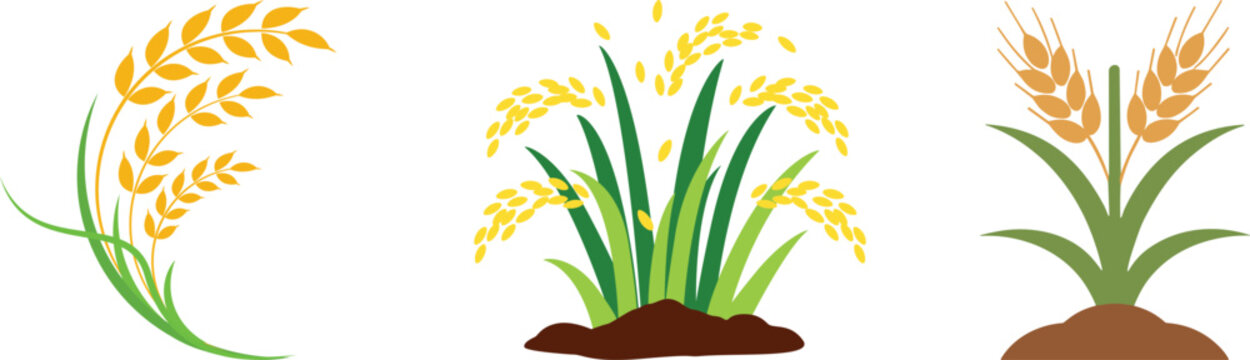 wheat vector icon set. bio agricultary, nature summer harvest art, hatching wheat Ear Grain Harvest Plant, abstract monogram logo template ,framework icon, and bicolor grunge Gluten watermark design