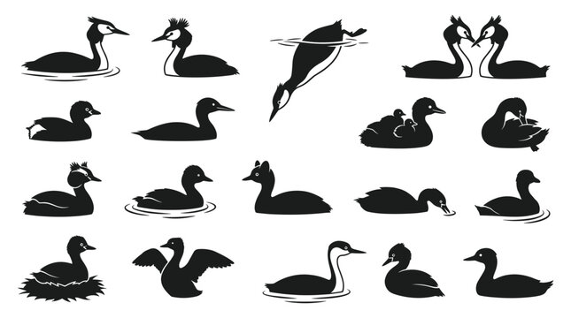 Black and white vector silhouette set of Grebe