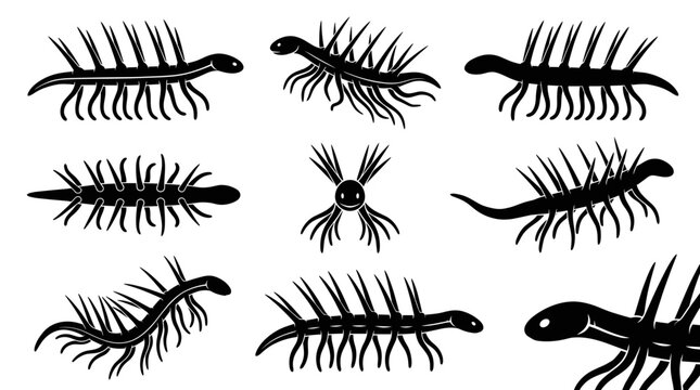 Black and white vector silhouette set of Hallucigenia