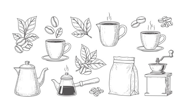Hand drawn coffee including beans cups pots grinder and leaves saucer