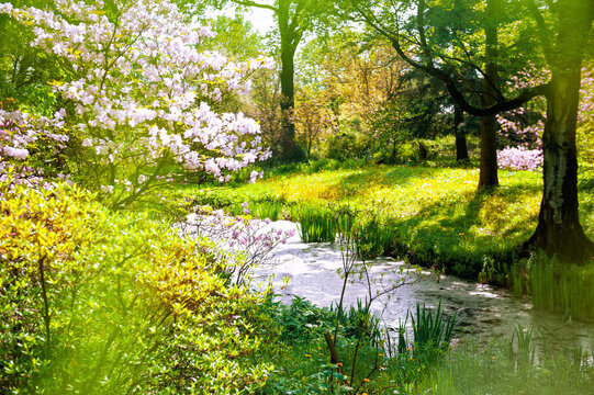 Spring peaceful landscape with blooming trees near pond