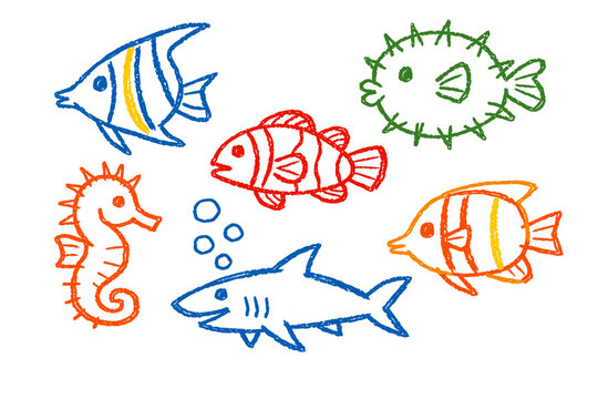 Kids sea animals hand drawn in colorful crayon doodle style for preschool learning. Concept of marine life education and children creativity - ocean study