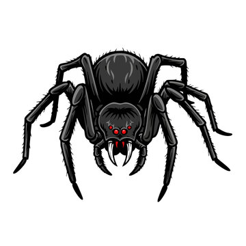 Detailed Illustration of a Black Widow Spider with Red Eyes.