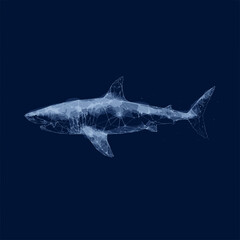 Obraz premium Abstract polygonal shark illustration created with glowing wireframe lines and geometric digital structures, combining marine wildlife with futuristic technology in a modern minimalist artistic design