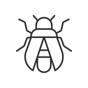 Fly icon in line design. fly, insect, pest, bug, animal, wings, parasite on white background vector. Fly editable stroke icon